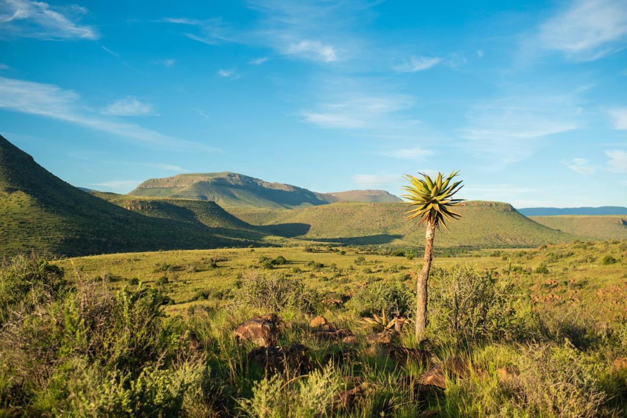 Glen Harry Game Reserve Graaff-Reinet エクステリア 写真
