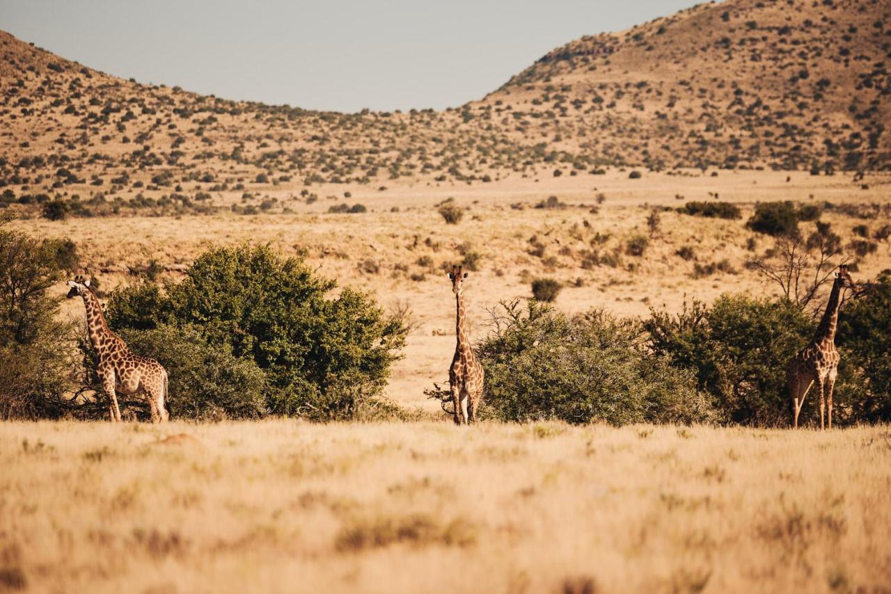 Glen Harry Game Reserve Graaff-Reinet エクステリア 写真